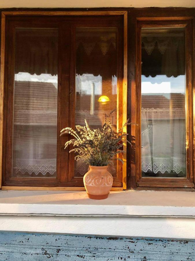 ホテル Bodrogparti Vendeghaz Sarazsadany エクステリア 写真